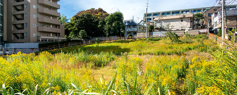3.浜松市にお住まいのF様が、「三島市にある所在地が不明の土地を相続したが無事に売却できた事例」